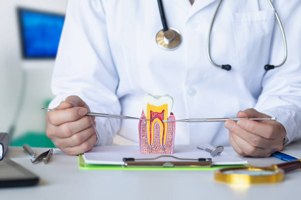 Best Chipped Tooth Repair Near Me  in Goodyear, AZ
